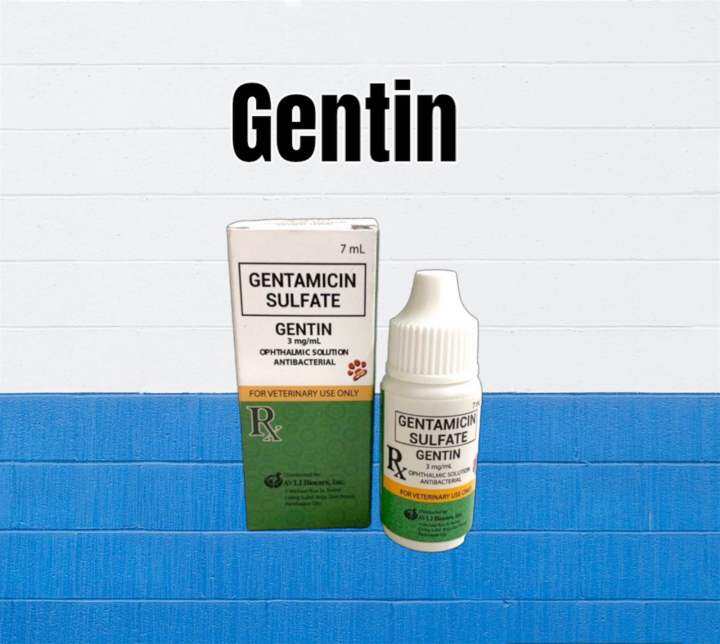 GENTAMICIN Eye Drops for pet 7ml Lazada PH