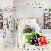 Scent nature น้ำหอมไม้ปัก กลิ่น Black currant รุ่นใหม่