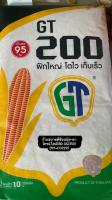 GT200 เมล็ดพันธุ์ข้าวโพดเลี้ยงสัตว์