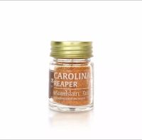 แคโรไลนา รีเปอร์ (Carolina reaper) พริกที่เผ็ดที่สุดในโลก 7กรัม