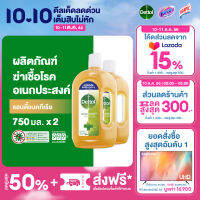 Dettol เดทตอล น้ำยาฆ่าเชื้อเดทตอล น้ำยาฆ่าเชื้อโรค ไฮยีนมัลติ-ยูส น้ำยาถูพื้น 750มล.X2 Dettol Hygiene Multi-use 750mlX2 (แพ็กเกจอยู่ระหว่างการเปลี่ยนแปลง)