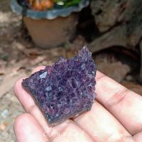 อเมทิสต์ | Amethyst Cluster ?
#cluster ? น้ำหนัก 34 กรัม ขนาด 4.5×3.1 cm หินธรรมชาติ