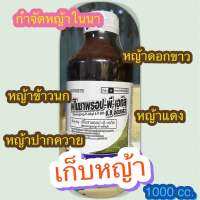 ฟีโนซาพรอป-พี-เอทิล (Fenoxaprop-p-ethyl) 1000ซีซี