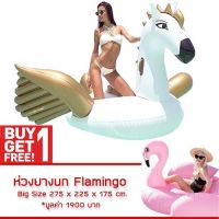 แพยาง Pegasus Big Size ห่วงยาง เพกาซัส แฟนซี ขนาด 250 cm แถม Free แพยาง Flamingo Big Size