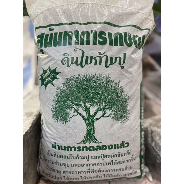 สินค้าแนะนำ-ดินหมักใบก้ามปูลพบุรี-นน-5-6-กก-ดินปลูกที่มีแร่ธาตุและสารอาหารที่พืชต้องการคะ