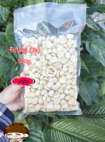 Macadamia แมคคาเดเมีย อบพร้อมทาน-ซีกใหญ่(B1)500g.-รสเกลือ(Salt)