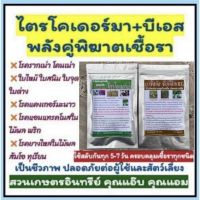 คู่พิฆาตเชื้อรา คู่100กรัม+100กรัม ไตรโคเดอร์มา+บีเอส ป้องกัน/แก้โรครากเน่า โคนเน่า ใบไหม้ ราสนิม แคงเกอร์ แอนแทรคโนส