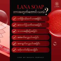 Lana Face Soap