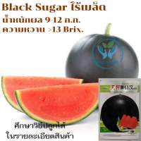 เมล็ด แตงโมดำ ไร้เมล็ด 37-40 เมล็ด F1 ( Black Sugar Watermelon ) ไร้เมล็ด