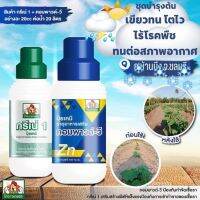 ปุ๋ยน้ำทางใบ สูตรเร่งการเจริญเติบโต+ป้องกันโรคพืช(กรีเน่1+คอมพาวด์วี)