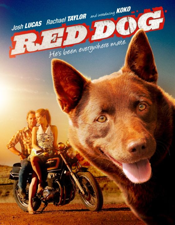 [DVD HD] เพื่อนซี้ หัวใจหยุดโลก Red Dog : 2011 ☆☆☆IMDb 7.3/10 (มีพากย์ไทย-ซับไทย เลือกดูได้) มิตรภาพ ผจญภัย
