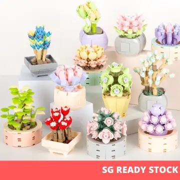 Small Particle Building block Succulent-themed plant bouquet