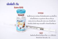 เอ็กซ์ตร้าวัน สำหรับไก่ชน