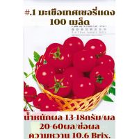 เมล็ดพันธุ์ มะเขือเทศ เชอรี่แดง มะเขือเทศดอยคำ มะเขือเทศจิ๋ว Cherry Tomato Red สายพันธุ์ OP จำนวน 100 เมล็ด