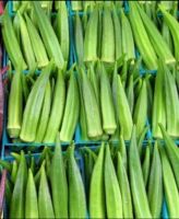 เมล็ดพันธุ์ กระเจี๊ยบเขียวคิมสัน  (Clemson Spineless Okra Seed)  บรรจุ 20 เมล็ด คุณภาพดี