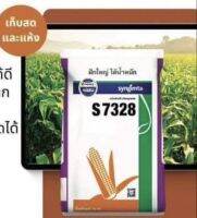 เม็ลดพันธุ์ข้าวโพด NK s7238 syngenta 10 กก.