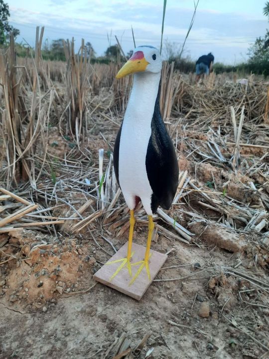 นกกวัก-นกไก่นา-หุ่นนกสวยๆ-ตัวท็อปออกใหม่ล่าสุด2023-มีบริการเก็บปลายทาง