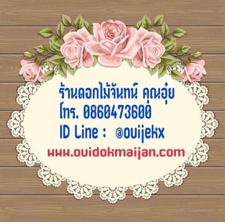 กระดาษลายหรีด-ขนาดใหญ่-pi-กระดาษทำพวงหรีด-ใช้ติดของใช้ที่กระดาษลายหรีด