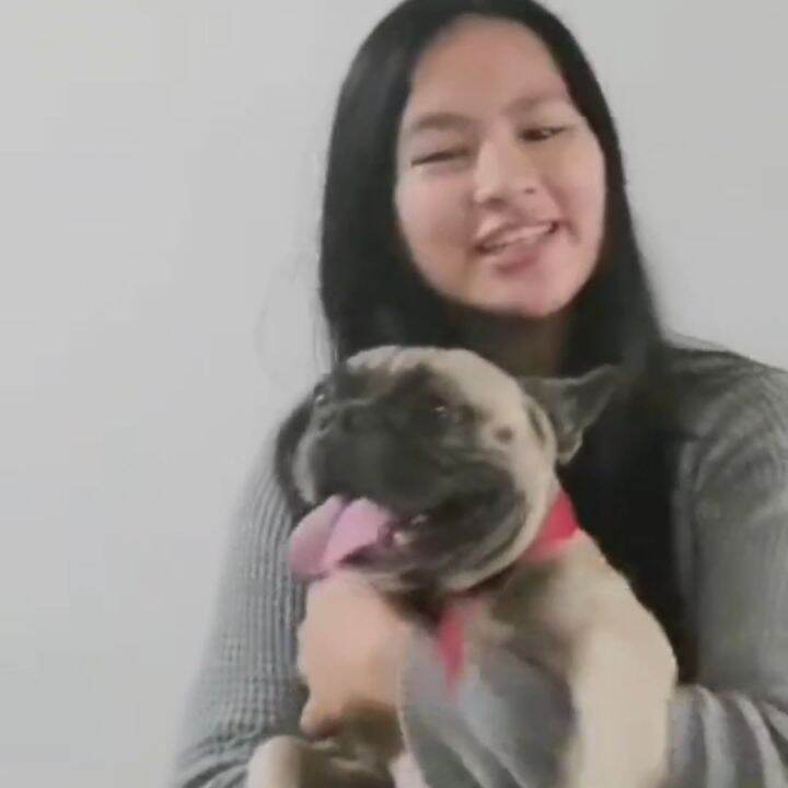 FitPaws Skin & Coat Dog Vitamins and Supplement to Optimize Skin Health