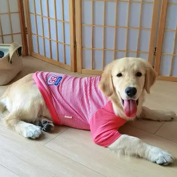 Smiley Labrador Large Dog Clothes Golden Retriever Samoyed Spring And  Autumn Clothes
