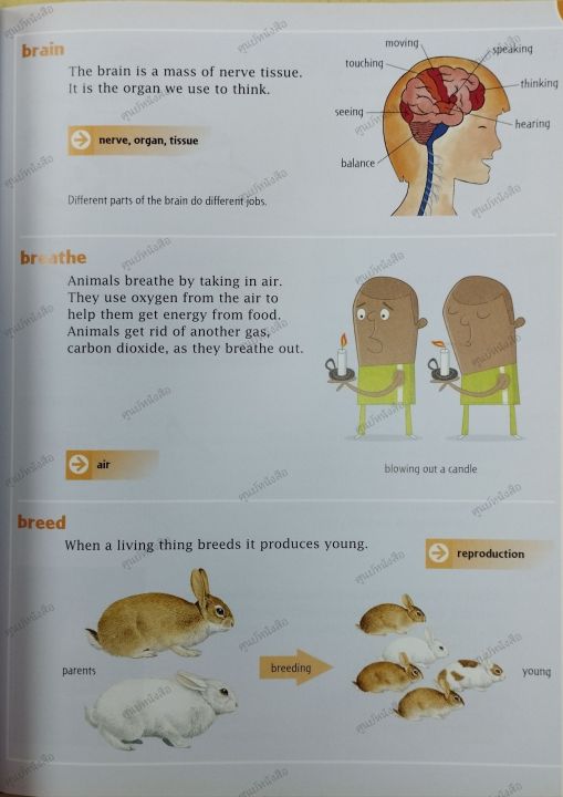 หนังสือ-oxford-primary-illustrated-science-dictionary-9780192733559-oxford