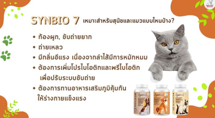 ผลิตภัณฑ์เสริมอาหารแมว-synbio7-for-cats