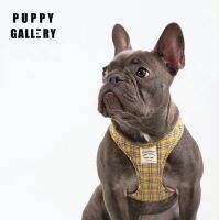 เสื้อรัดอก ฮาเนส นำข้าจากเกาหลี Puppy Gallery รุ่น Cherry Check harness ลายสก๊อตสีเหลือง Mustard