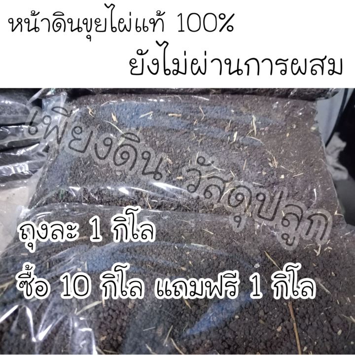 รองก้นหลุมดีมากหน้าดินขุยไผ่ล้วนๆยังไม่ผ่านการผสม-ถุงละ1-กิโลซื้อ-10โลแถมฟรี-1กิโล