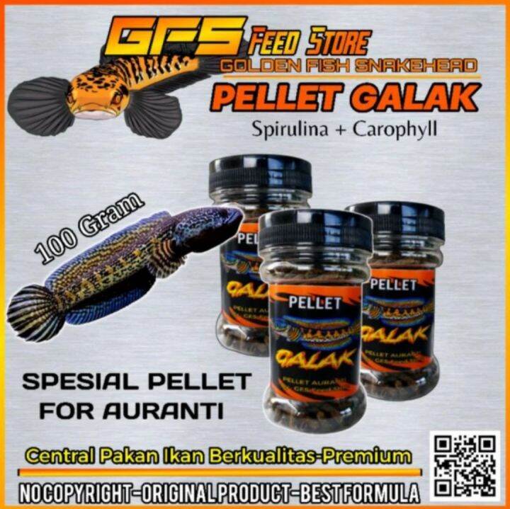 Pelet Galak 100gr Pelet Channa Auranti | Lazada Indonesia