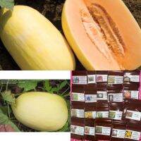 เมล็ดพันธุ์ เมล่อนไลลี่ (Lily Melon F1 Melon Seed) บรรจุ 5 เมล็ดผลสีเหลืองสวย เนื้อสีส้ม หวานหอมนุ่ม อโรม่าติก