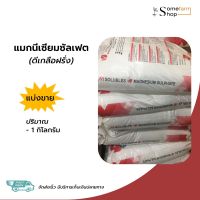 แมกนีเซียมซัลเฟล Magnesium Sulphate