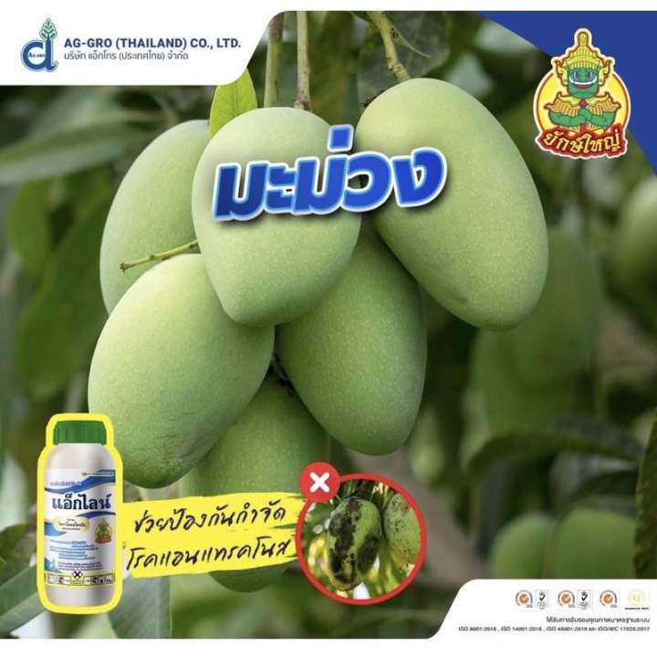 แอ็กไลน์-สารตัวเดียวกับ-เฮดไลน์-ไพราโคลสโตรบิน-25-w-v-ec-500-ซีซี