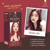 ( สีเกรพ เรด ) Vanekaa ครีมเปลี่ยนสีผม Vanekaa Hair Colorant 100 ml.