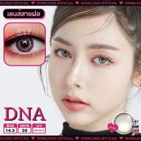 Dna Winklens คอนเเทคเลนส์ บิ๊กอาย Bigeye Gay,Brown ✨มีเลขที่จดเเจ้งถูกต้อง