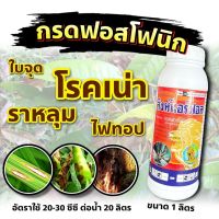 กรดฟอสโฟนิค 1ลิตร #สิงห์แอร์ฟอส 1 ลิตร ต้นตำรับ ฝังเข็ม ทุเรียน สารกำจัดเชื้อรา รากเน่า โคนเน่า ยอดเน่า ต้นเน่าโรคพืช