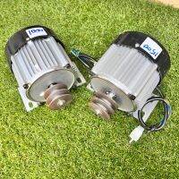 มอเตอร์บัสเลสโซล่า พูเล่ 2นิ้วร่องA 48/1000w 48/1500w สินค้าพร้อมส่งนะครับ