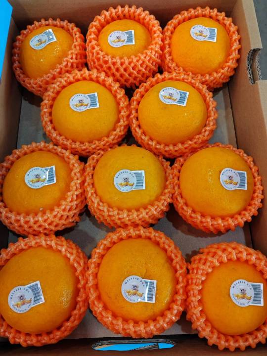 ส้มไต้หวันกล่องฟ้า-xxl