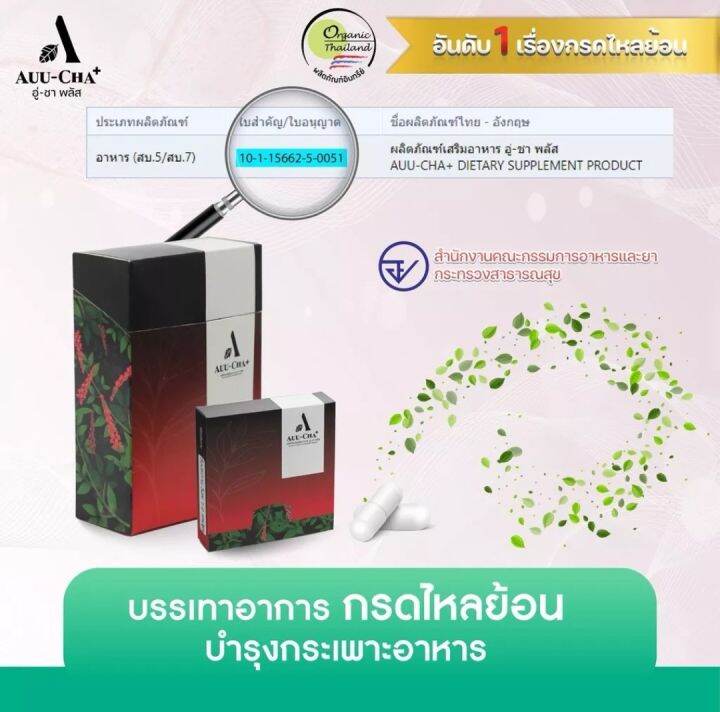 อู่ชา-แคปซูล-auu-cha-อู่ชา-พลัส-สมุนไพรแก้กรดไหลย้อน-สมุนไพรกรดไหลย้อน-สมุนไพรบรรเทากรดไหลย้อน-2-กล่อง