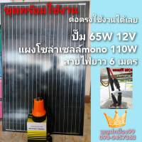 ปั๊มน้ำโซล่าเซลล์พร้อมแผงโซล่าเซลล์ 110W ปั๊มDC 65W ต่อตรงใช้งานได้เลย