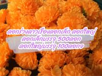 ดอกร่วงดาวเรือง ดอกเล็กบรรจุ500 ดอกใหญ่บรรจุ100 ดาวเรือง ดอกดาวเรือง