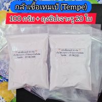 กล้าเชื้อเทมเป้(หัวเชื้อเตมเป) 100 กรัม ฟรี ! ถุงซิปเจาะรู 20 ใบ ทำเทม​เป้​ได้​ประมาณ​ 5 กิโลกรัม​