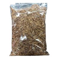 หนอนอบแห้ง Mealworms 150 กรัม ชูการ์ไรเดอร์,นก,เม่นแคระ,ปลา,หนูแฮมเตอร์ กระรอก ปลาสวยงาม กิ่งก่า เต่า