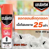 เชนไดร้ท์โฟม (chaindrite) ❗️ป้องกันและกำจัดปลวก