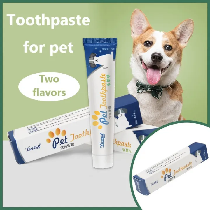 Pet Toothpaste Dog Cat Dental CareTeeth Qualified Tools pet dog