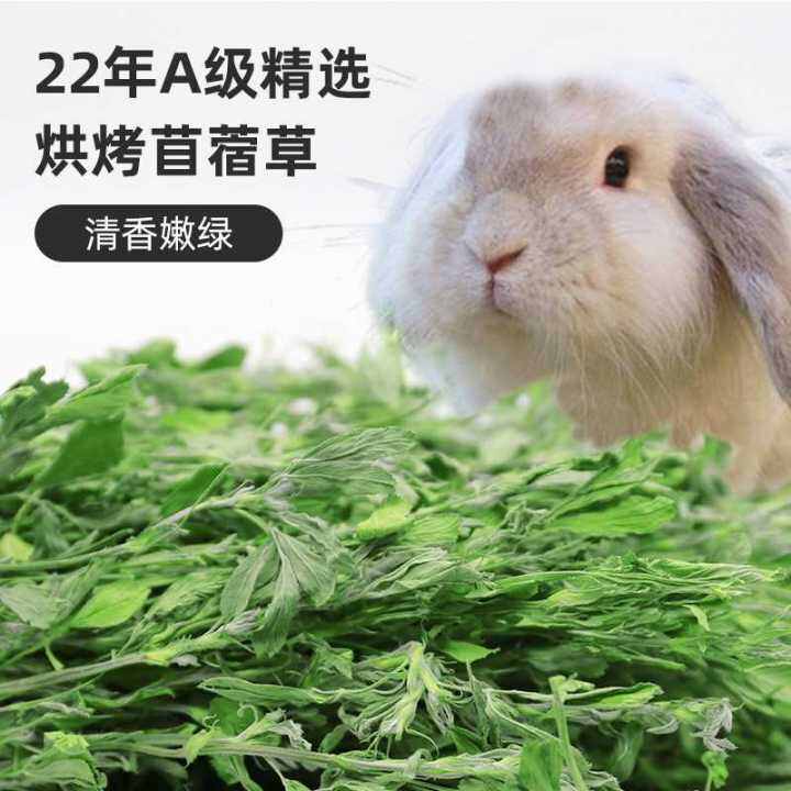 Clover Dried Grass Pet Feed Young Rabbits Eat Grains Guinea Pig Totoro