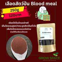 เลือดไก่ป่นล้วนๆบำรุงดิน Blood meal