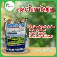 คลอโรทาโลนิล ขนาด 1 กิโลกรัม ราน้ำค้าง ราดำ เชื้อเข้าขั้วผล