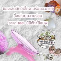 ของเล่นสัตว์เลี้ยง จานร่อนอวกาศ ของเล่นชูก้า ของเล่นแฮมส์เตอร์ ดอร์เมาส์ เม่นแคระ