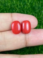 8.46cts สีแดงคอรัล คู่ 11.5x8.5x5.5mm 8.46cts red coral pair 11.5x8.5x5.5mm