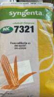 เมล็ดพันธุ์ NK7321 3.5หุน 10 kg